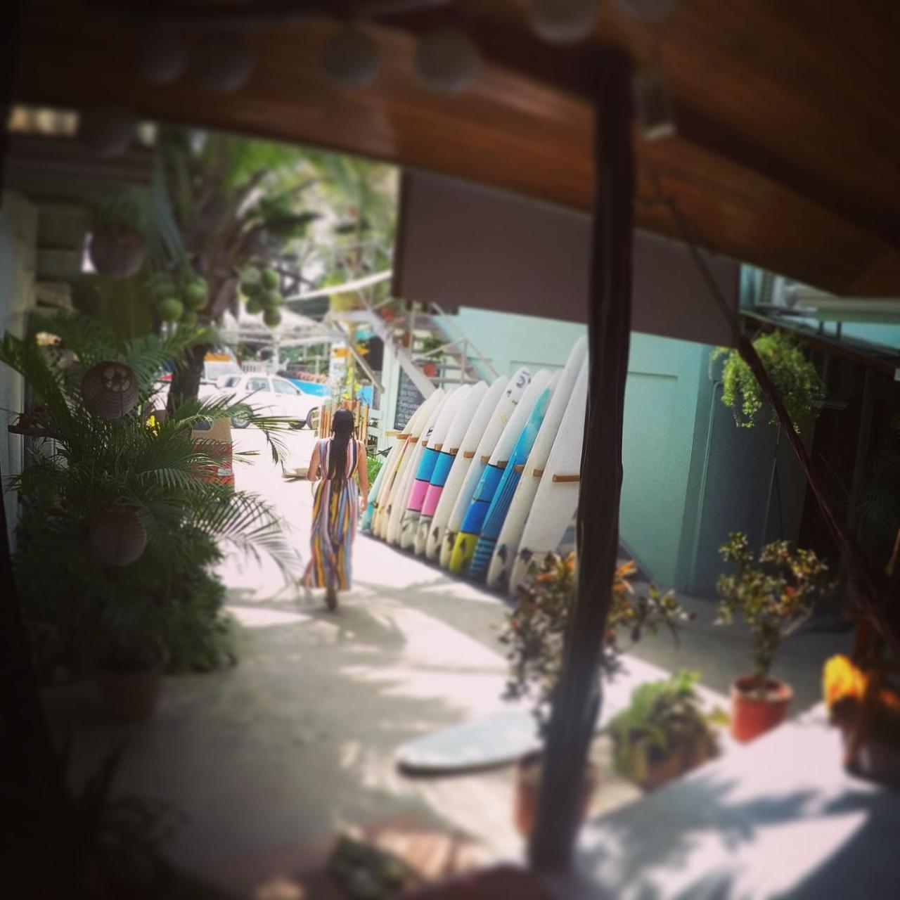 Cocobolo Surf Hotel & School Playa Santa Teresa  Kültér fotó